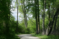 Rushford Lake Cottage
